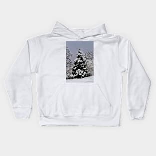 Southern Illinois Winter Scene 5_ Dec 2012 Kids Hoodie